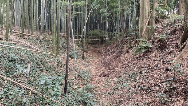 神宮寺城(稲敷市・茨城県)