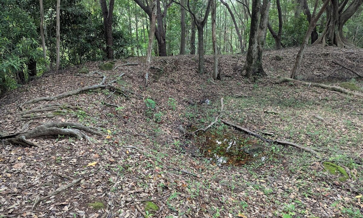 鵜殿城(三重県南牟婁郡)