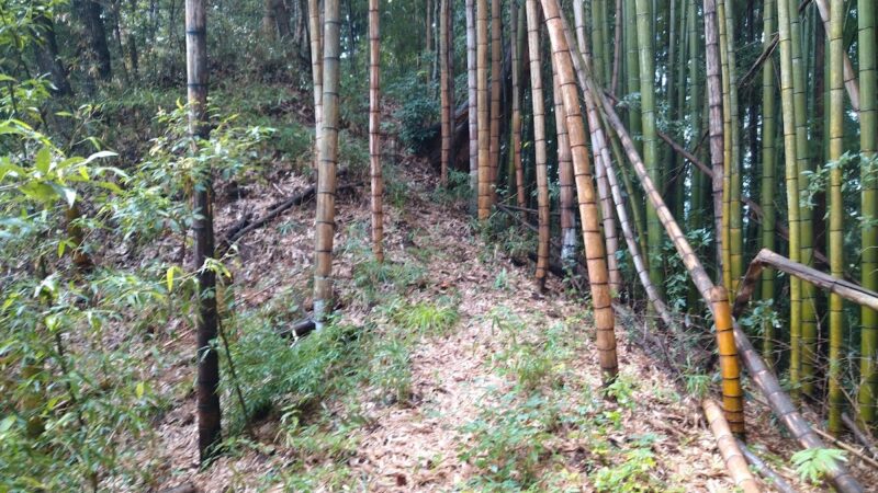 依上城(茨城県大子町)