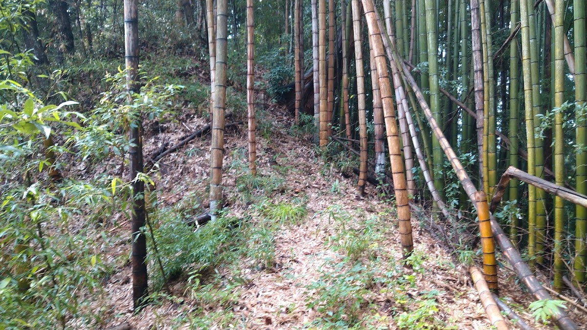 Irigami Castle (Daigo Town, Ibaraki Prefecture)