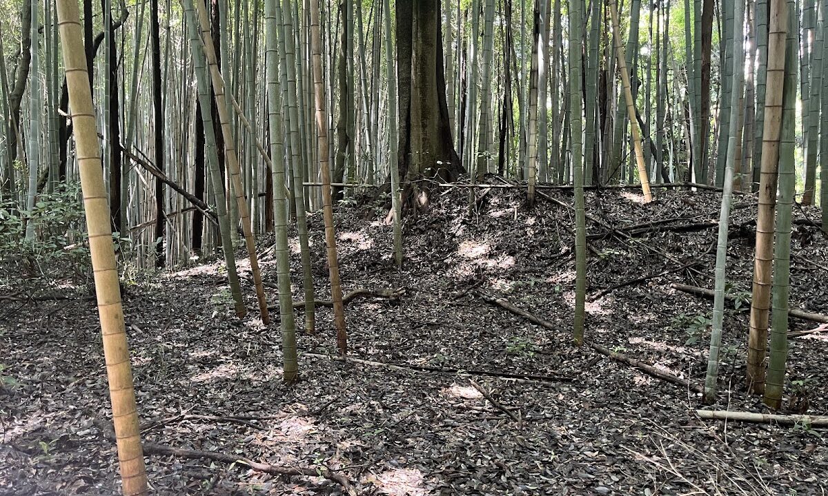이시즈카성(죠리초·이바라키현)