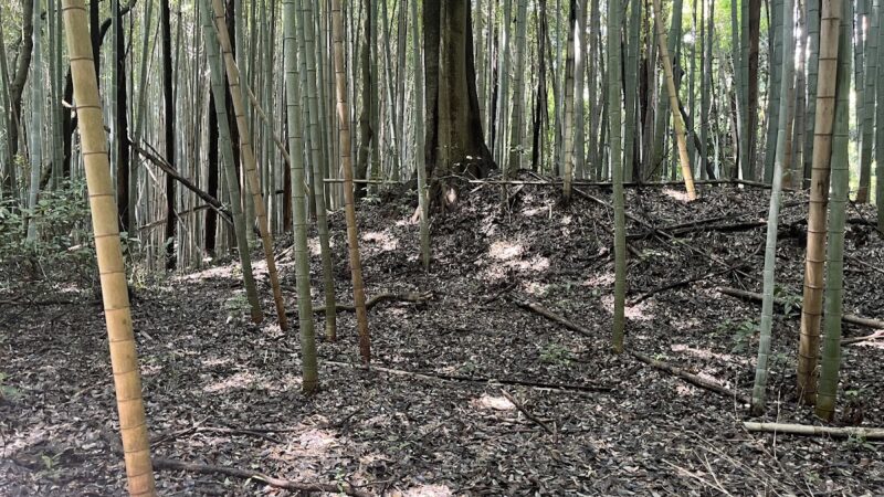石塚城(城里町・茨城県)