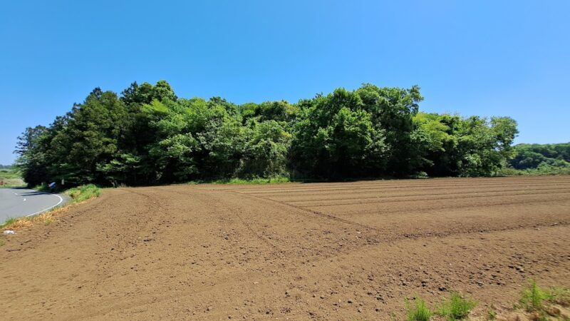 菅生城(常総市・茨城県)