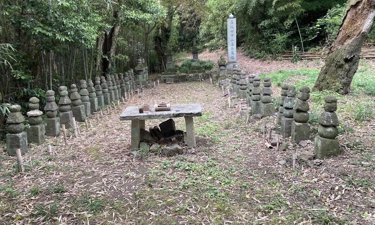 Tsuneyama Castle Ruins