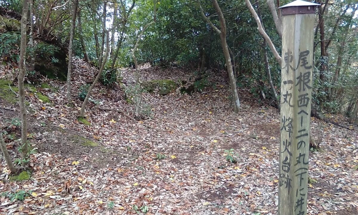 三星城(岡山県美作市)
