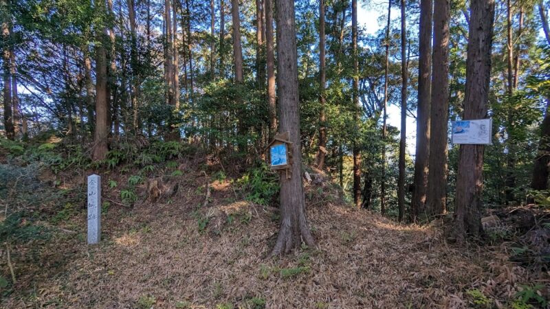 布師田金山城
