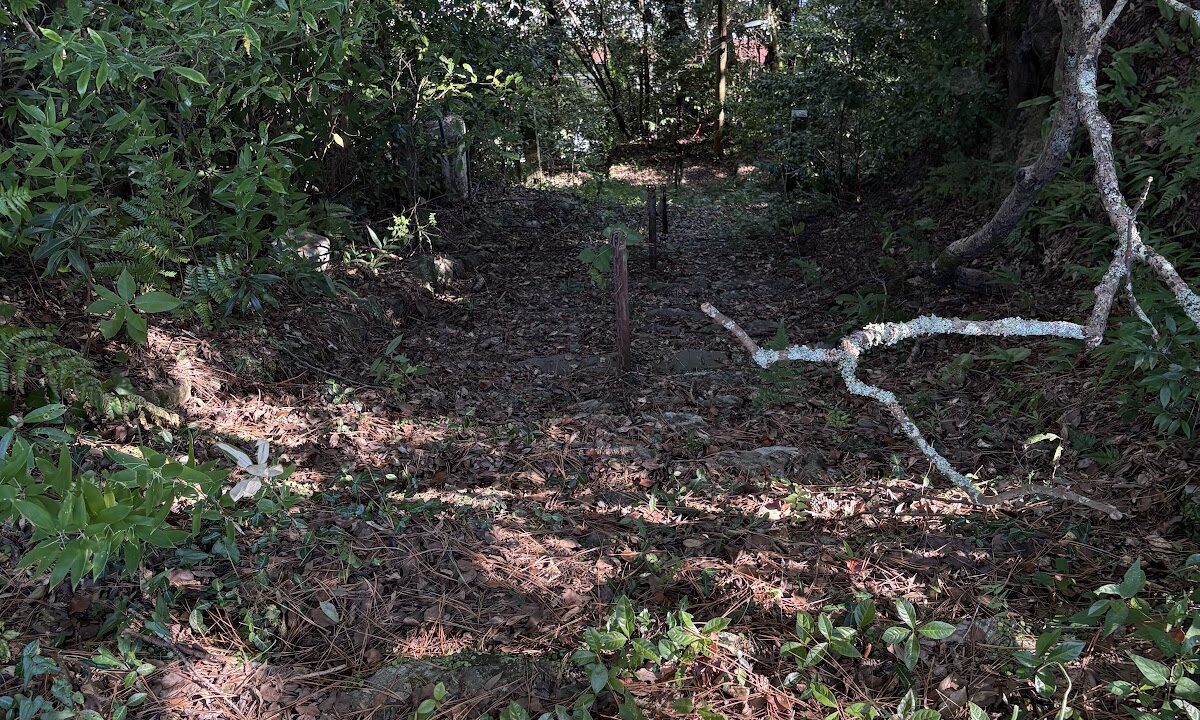 宿毛城(松田城)