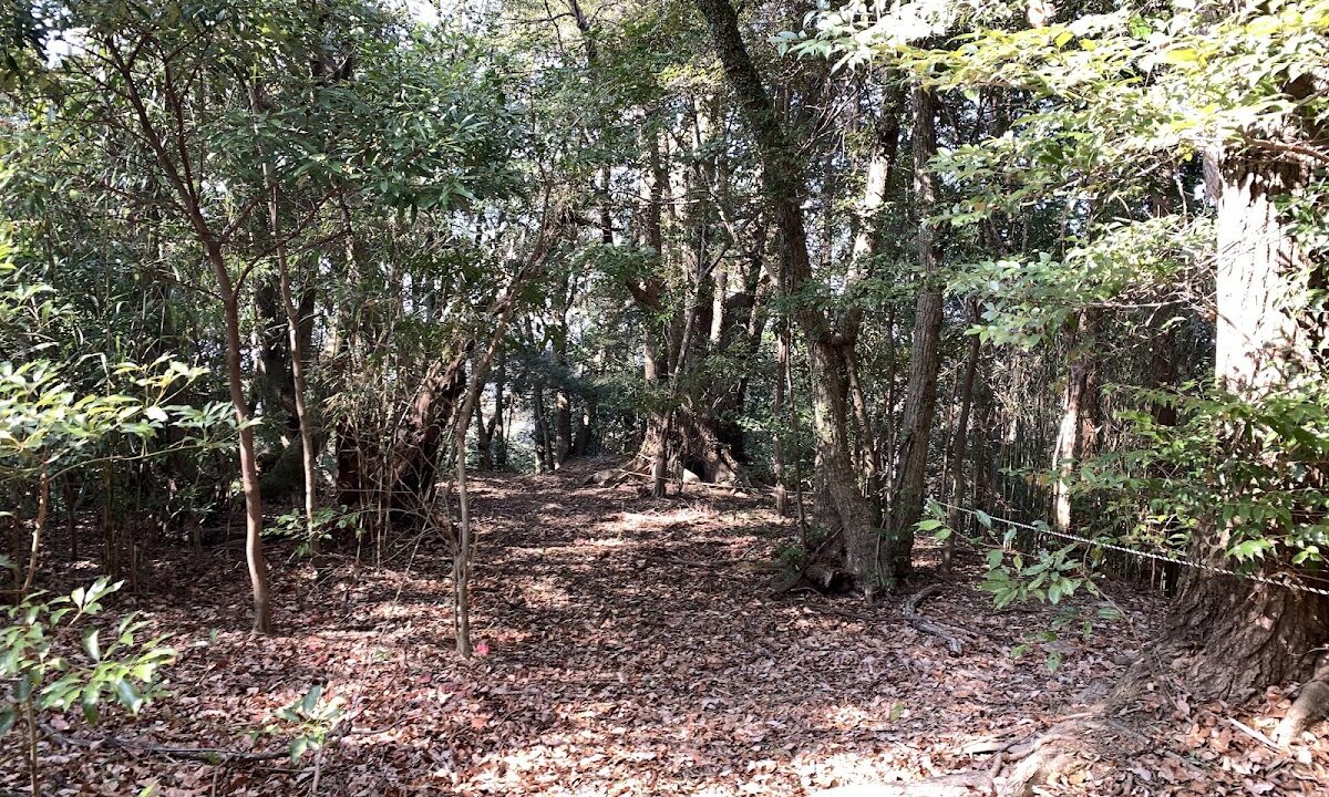 Hariki Castle (Susaki City, Kochi Prefecture)