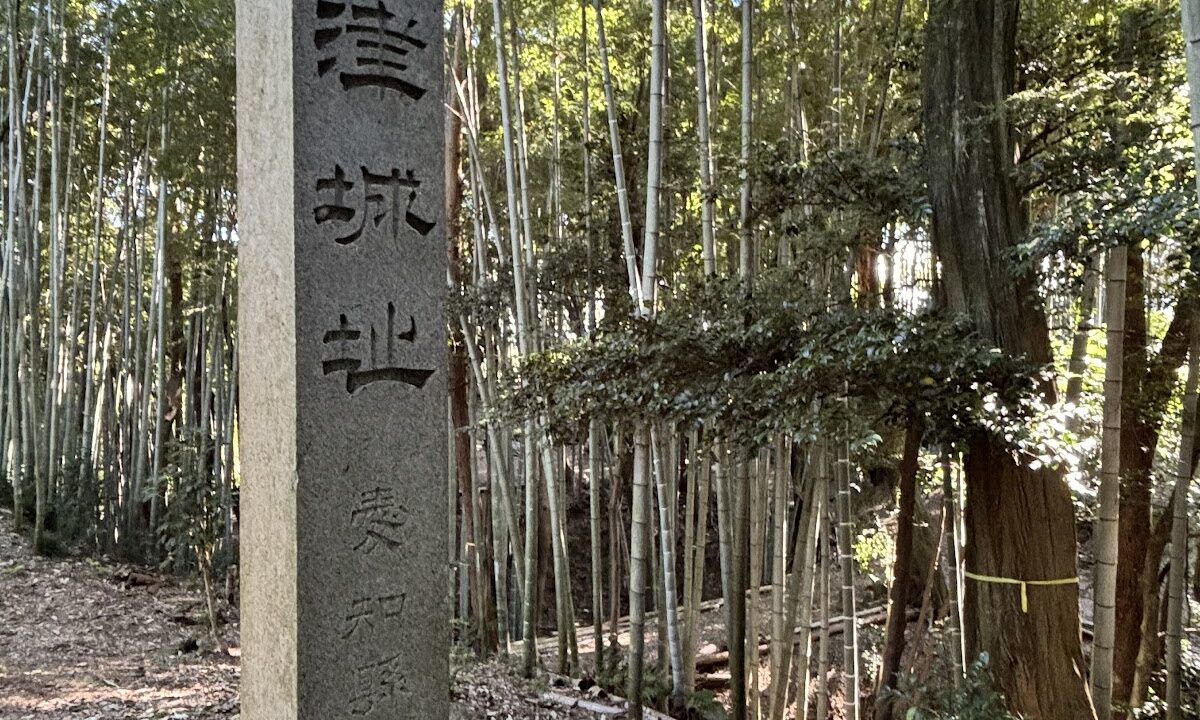 岩津城（岡崎市・愛知県）