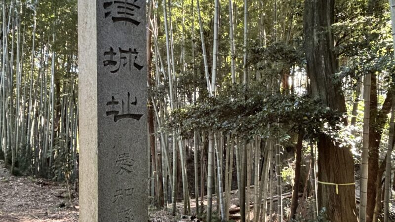 岩津城（岡崎市・愛知県）