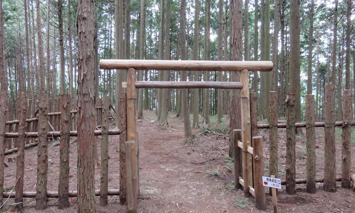 柿本城(愛知県新城市)
