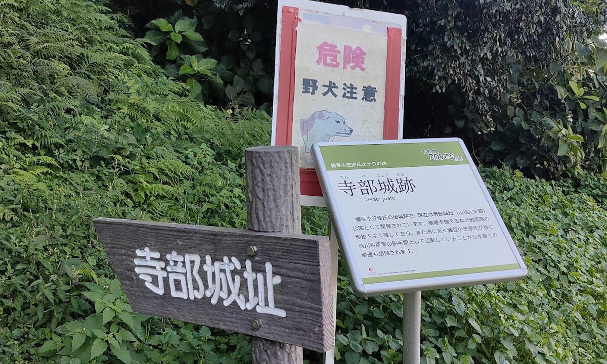 幡豆寺部城(西尾市)