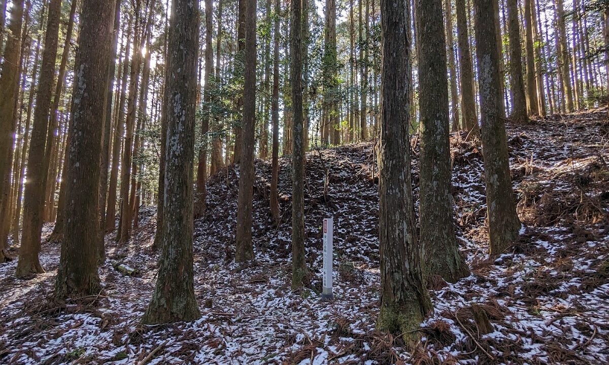寺脇城(愛知県北設楽郡)