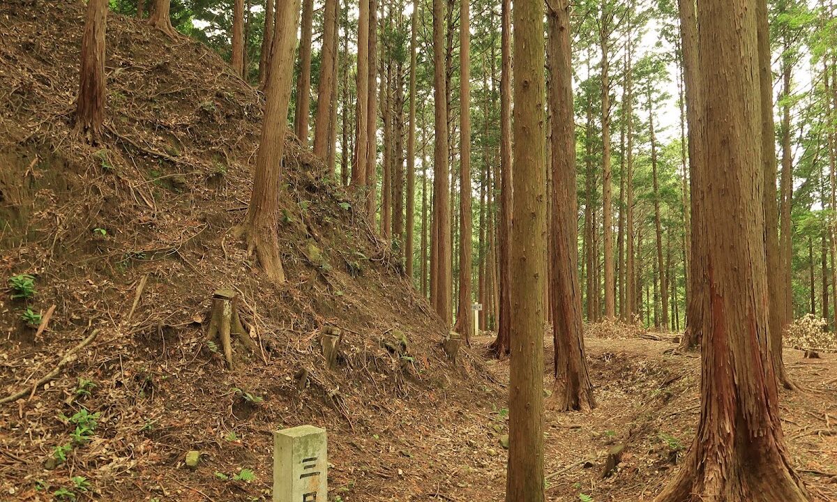 岩略寺城(愛知県豊川市)