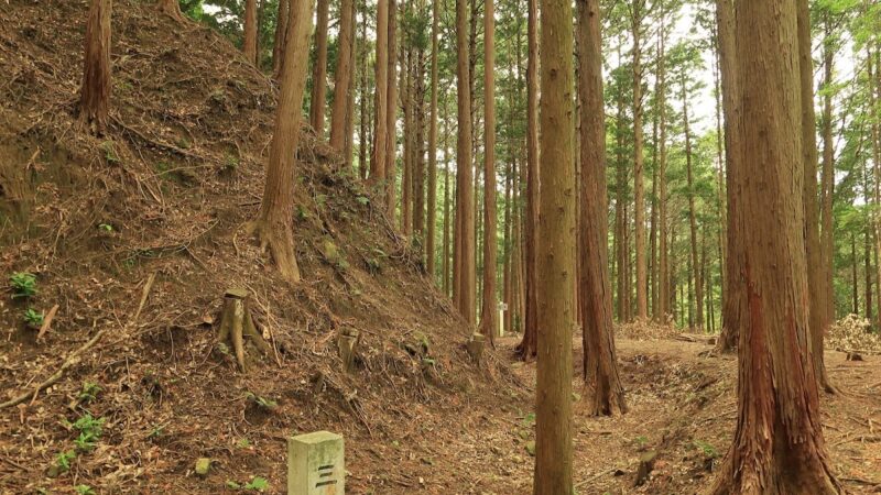 岩略寺城(愛知県豊川市)