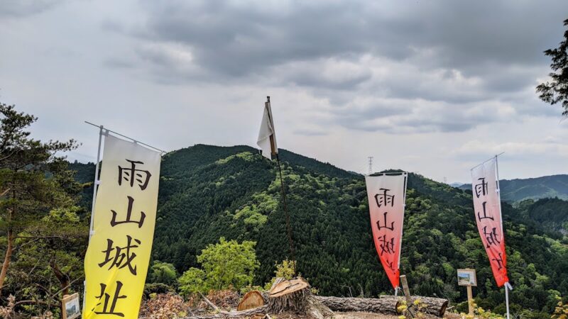 雨山城(岡崎市・愛知県)