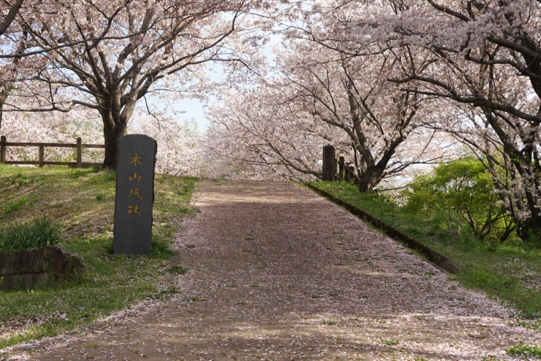 기야마성(구마모토현 가미마스쿠군)의 역사와 볼거리