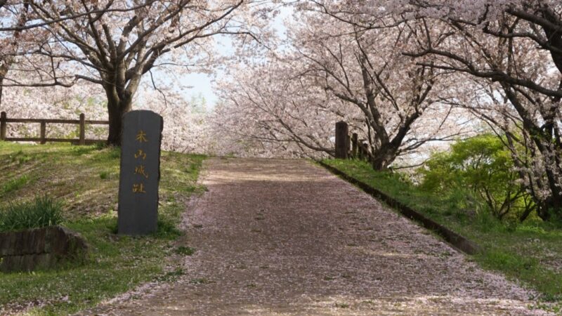 木山城(熊本県上益城郡)の歴史と見どころ