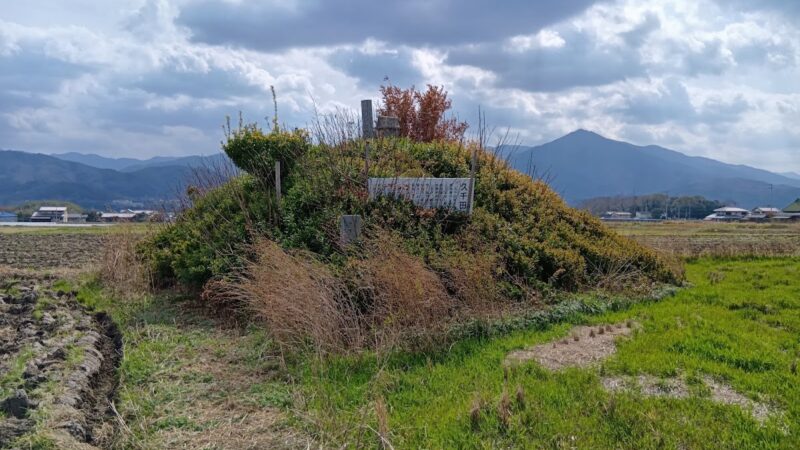 久千田城(徳島県阿波市)の歴史と遺構 – 南北朝時代から戦国時代を生き抜いた山城の全貌