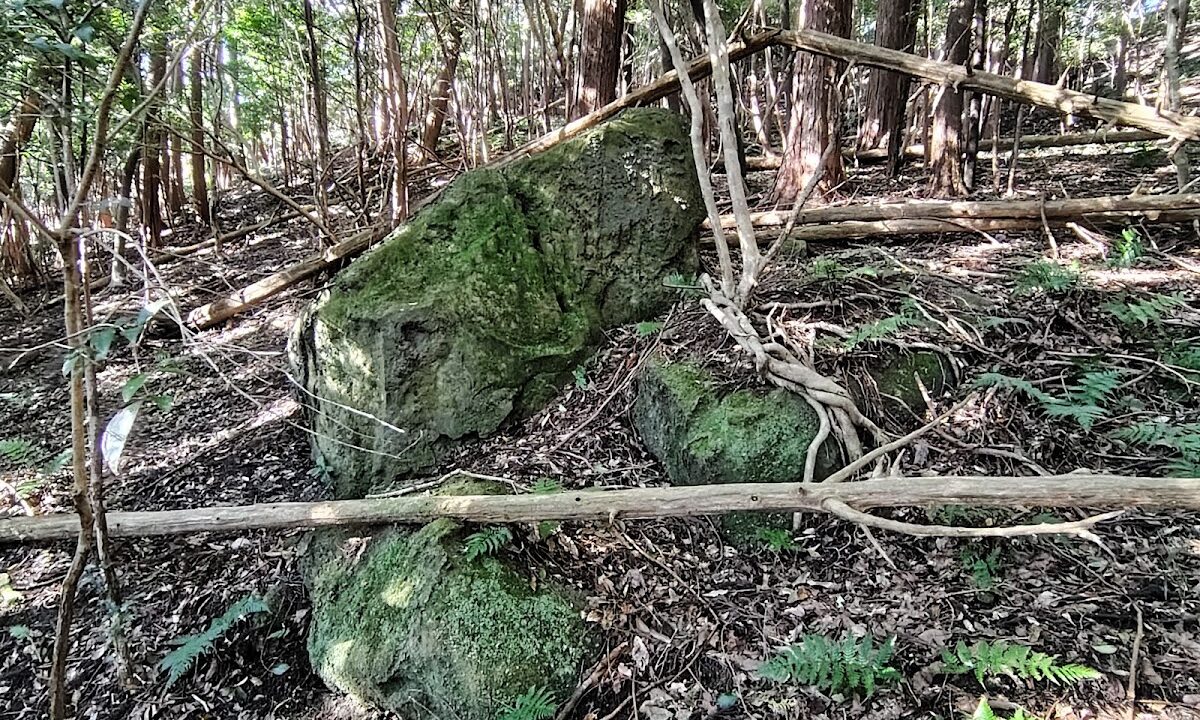 新所城 亀山市 三重県
