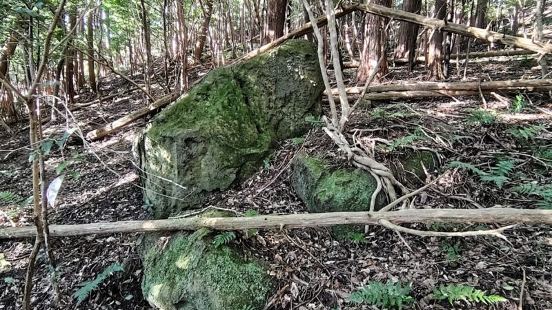 新所城 亀山市 三重県