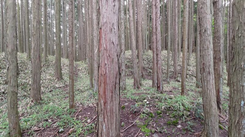 北畠具親城(三重県名張市)