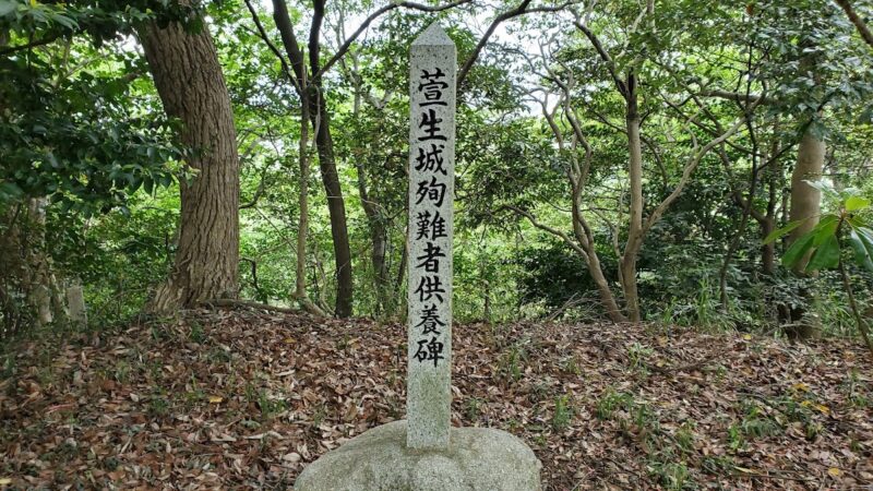 萱生城(四日市市・三重県)