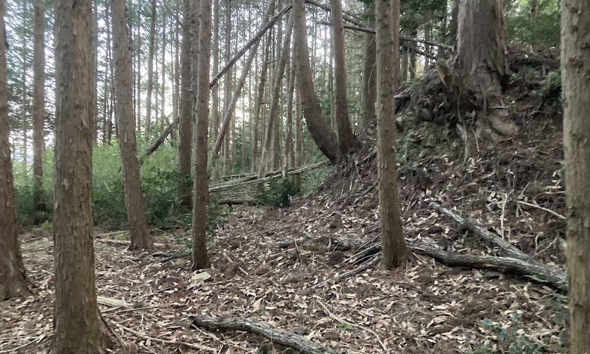 竹島氏城(三重県伊賀市)