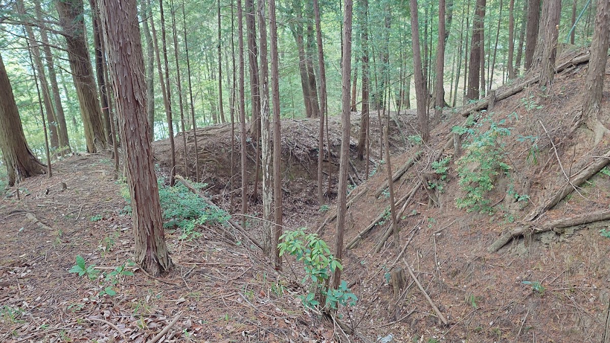 青木城(三重県名張市)