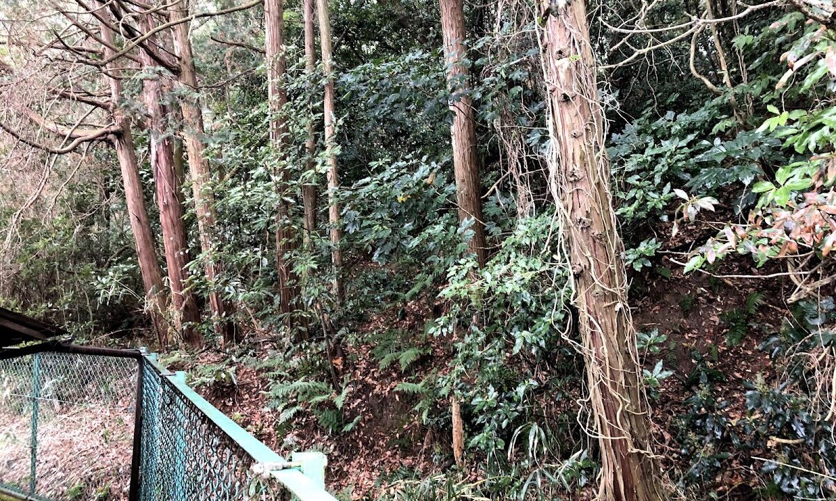 Shukuno Castle (Komono-cho, Mie-gun, Mie Prefecture)
