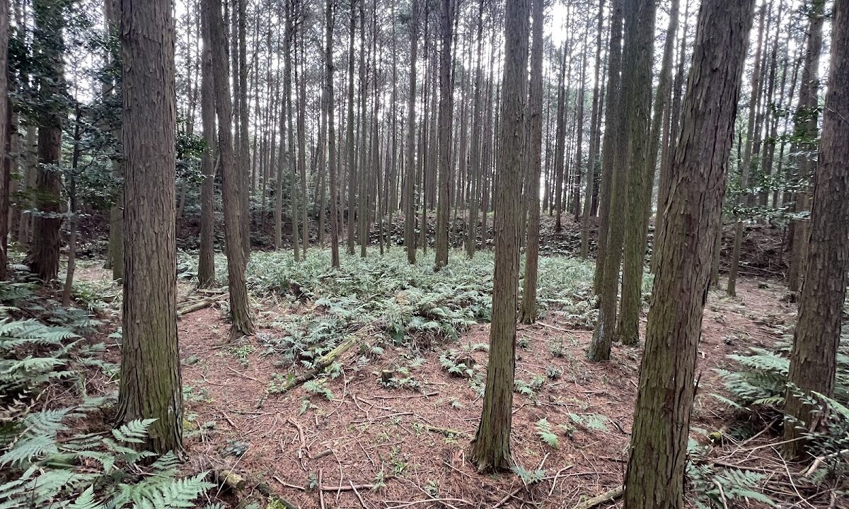 Shingu Branch Castle (Koka City, Shiga Prefecture)