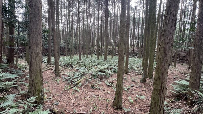 新宮支城(滋賀県甲賀市)