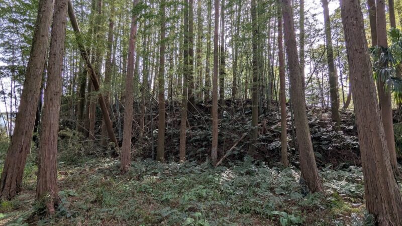 服部城(滋賀県甲賀市)