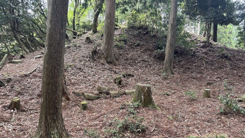 八講師城(滋賀県米原市)