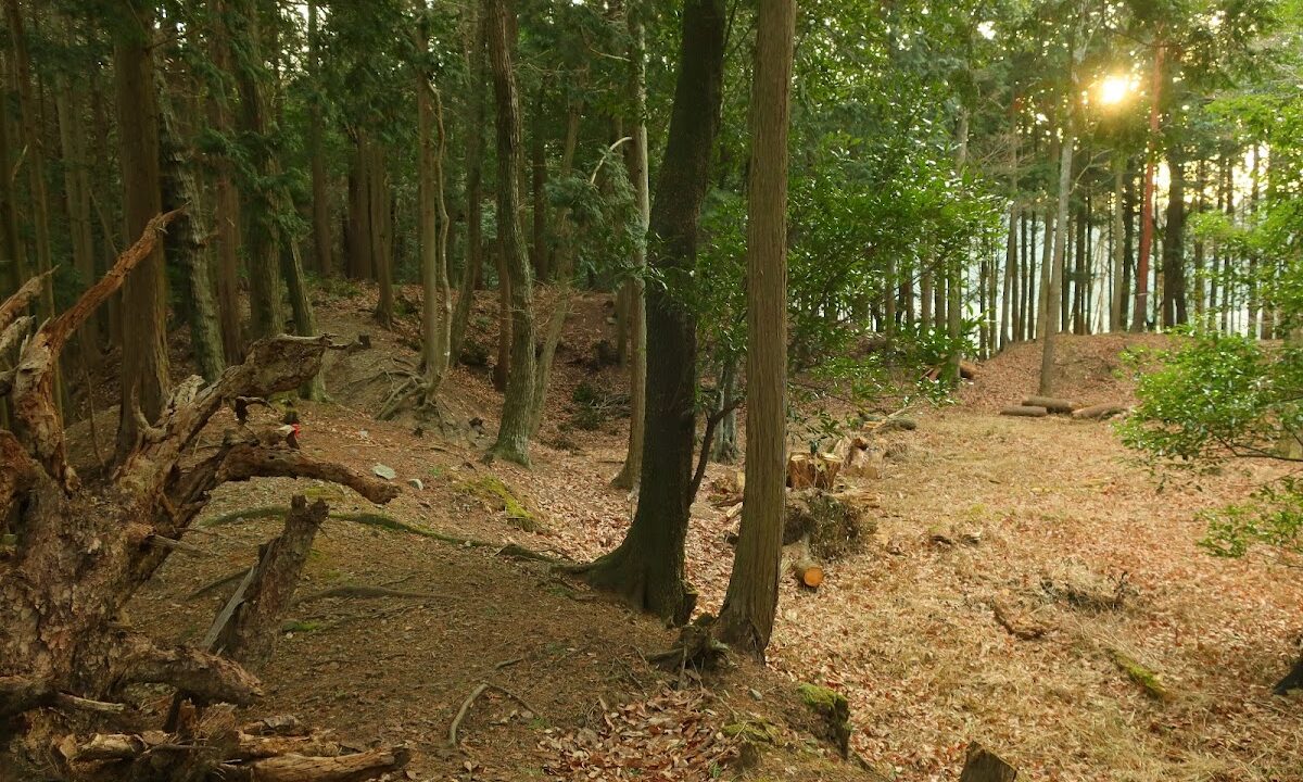 土山城(滋賀県甲賀市)