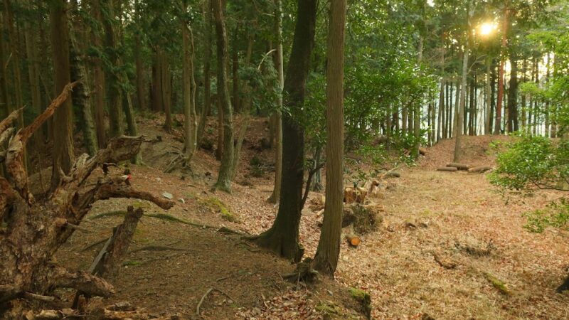 土山城(滋賀県甲賀市)