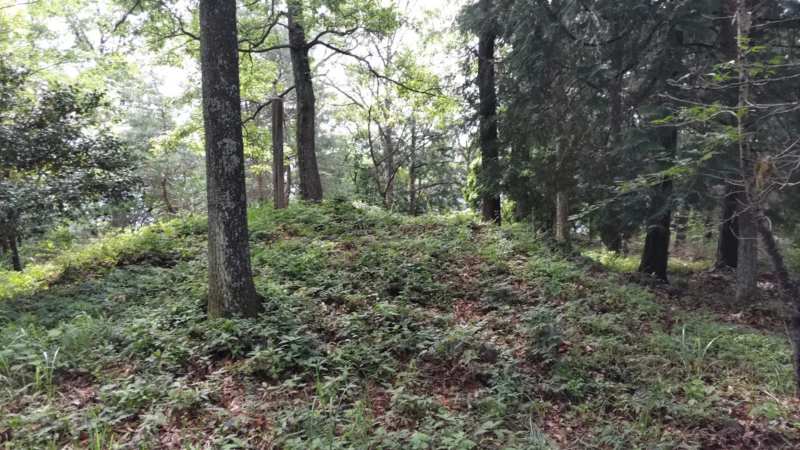 東山城(徳島県三好郡東みよし町)
