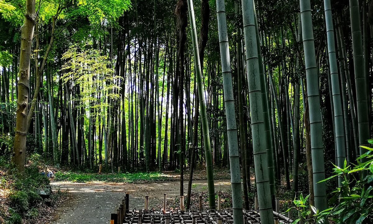 Yaho Castle (Kunitachi City)