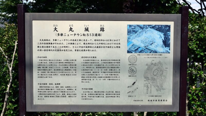 大丸城（東京都）