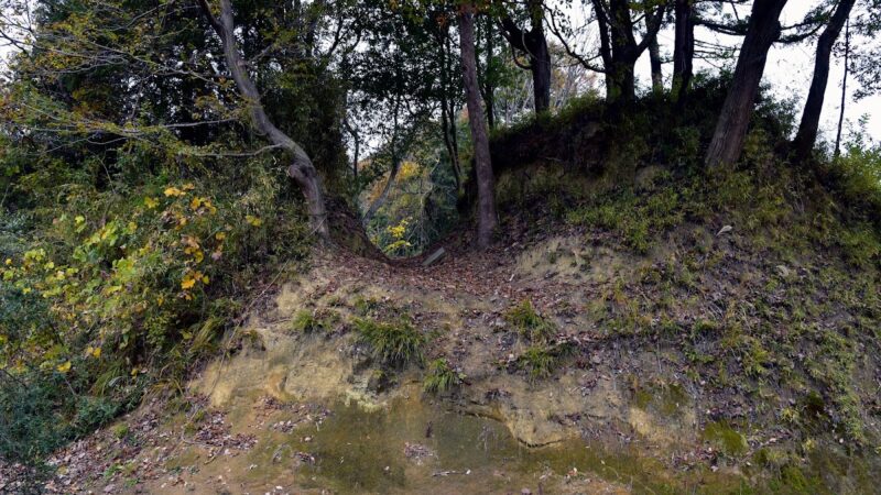 小山田城（東京都）