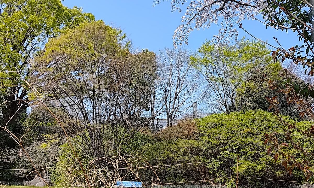 Narisō Castle（東京都）