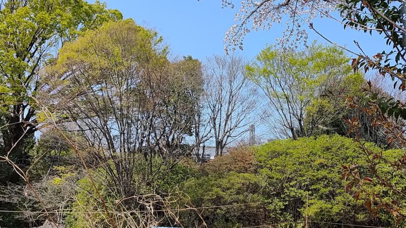 成宗城（東京都）