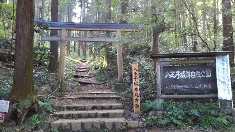 氷川城（東京都）