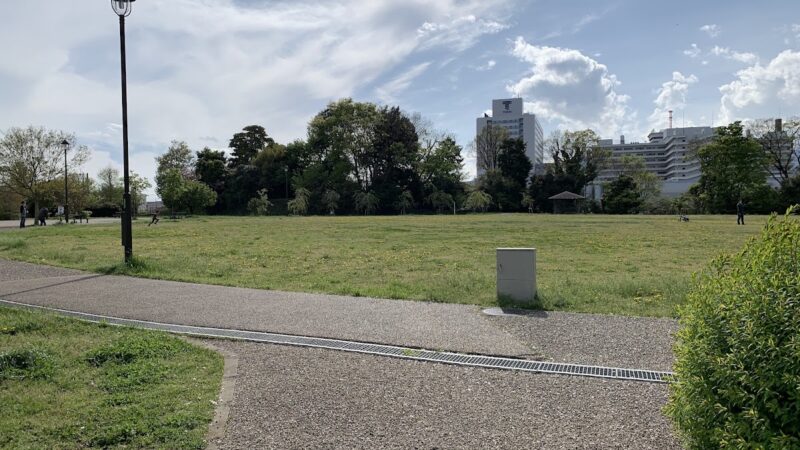 丸山城（神奈川県）