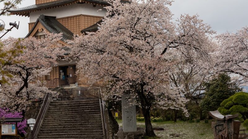 諏訪城（埼玉県）
