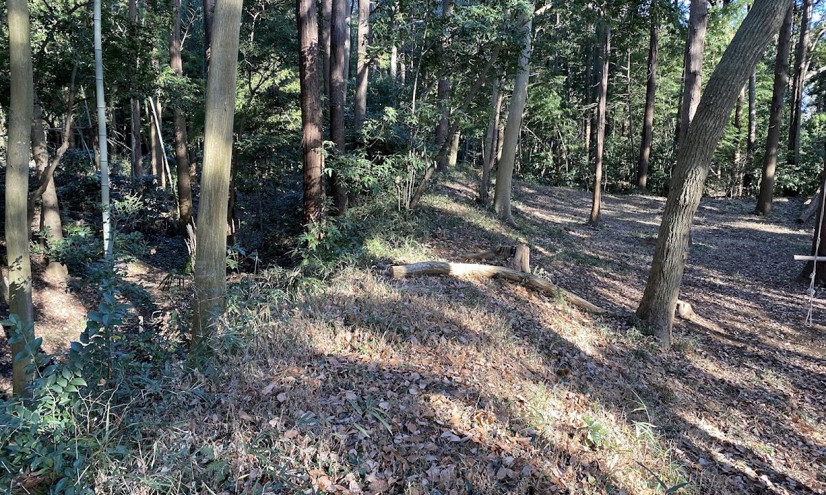 根戸城（千葉県）