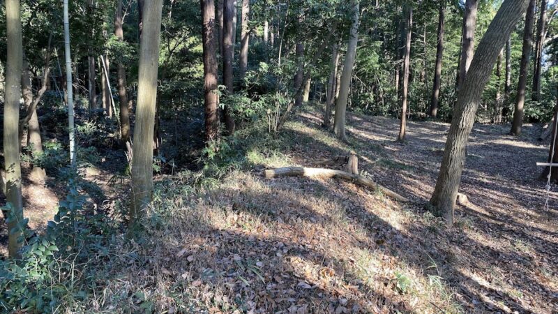 根戸城（千葉県）