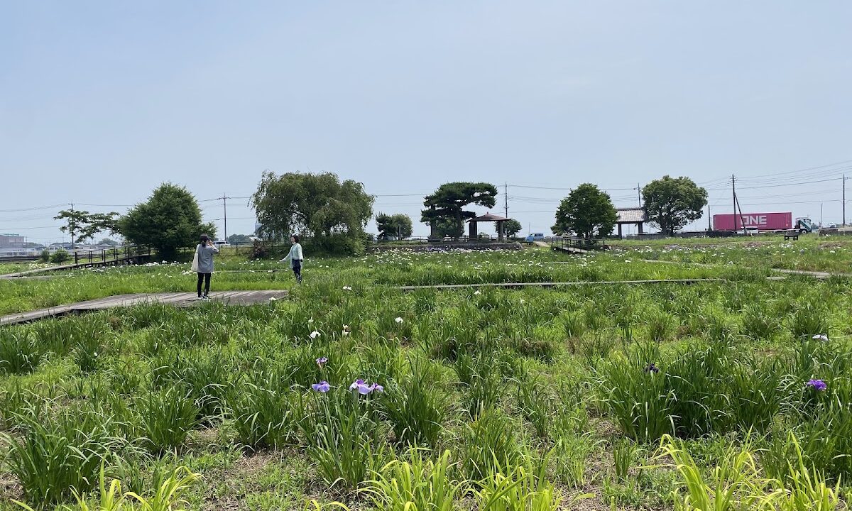 菖蒲城（埼玉県）