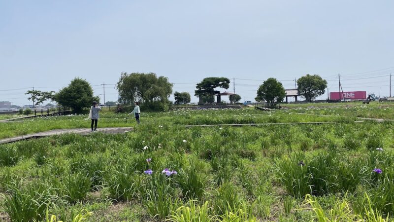 菖蒲城（埼玉県）