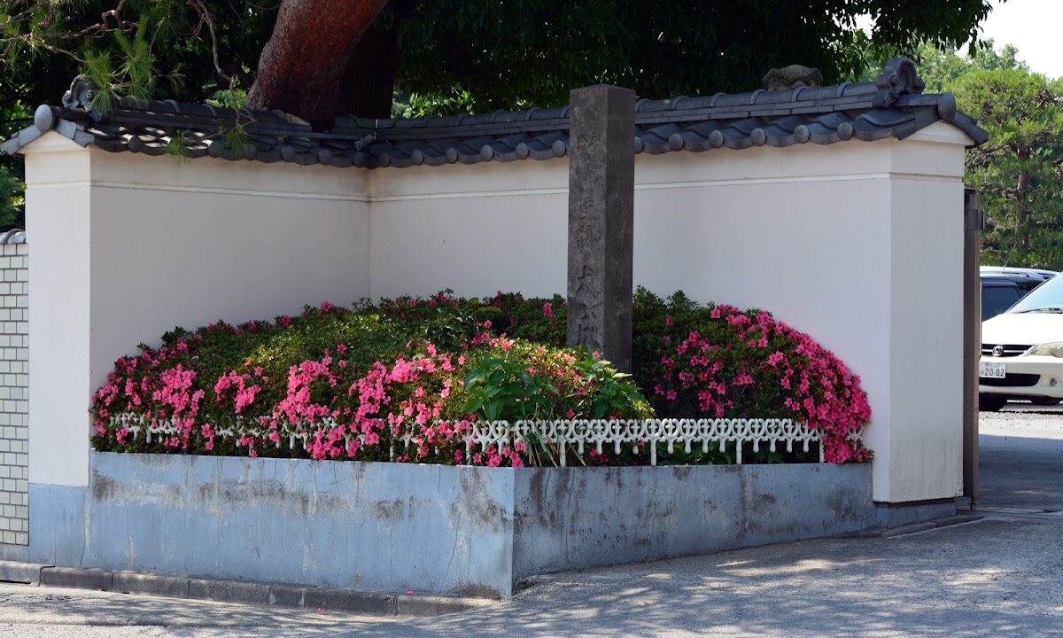 다이세이칸터（埼玉県）